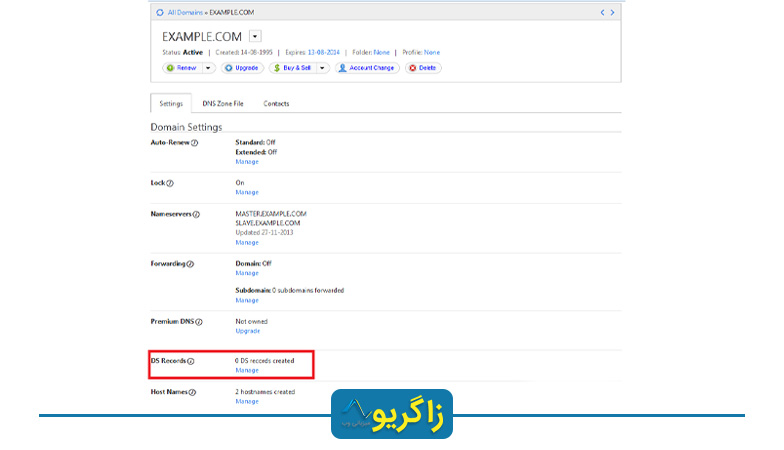 پیکربندی رکوردهای DS با استفاده از register