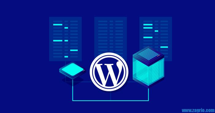 هاست وردپرسی wordpress hosting